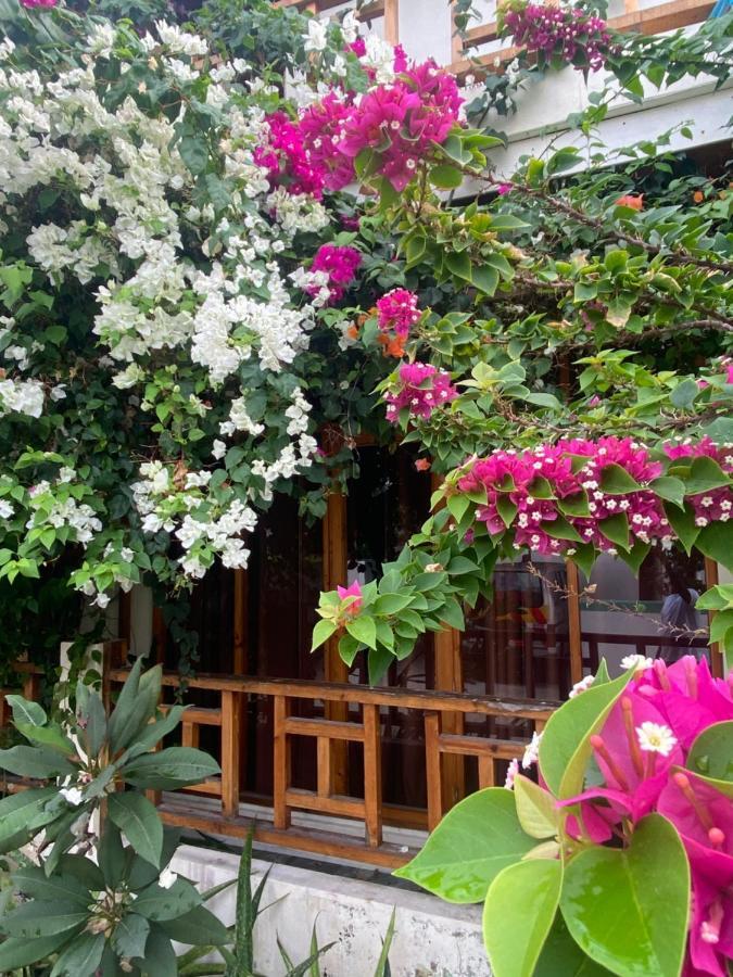 Bougainvillea Inn - Maldives フリドゥ エクステリア 写真